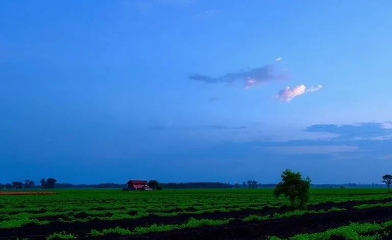 Opportunities and Challenges of the Agriculture Industry